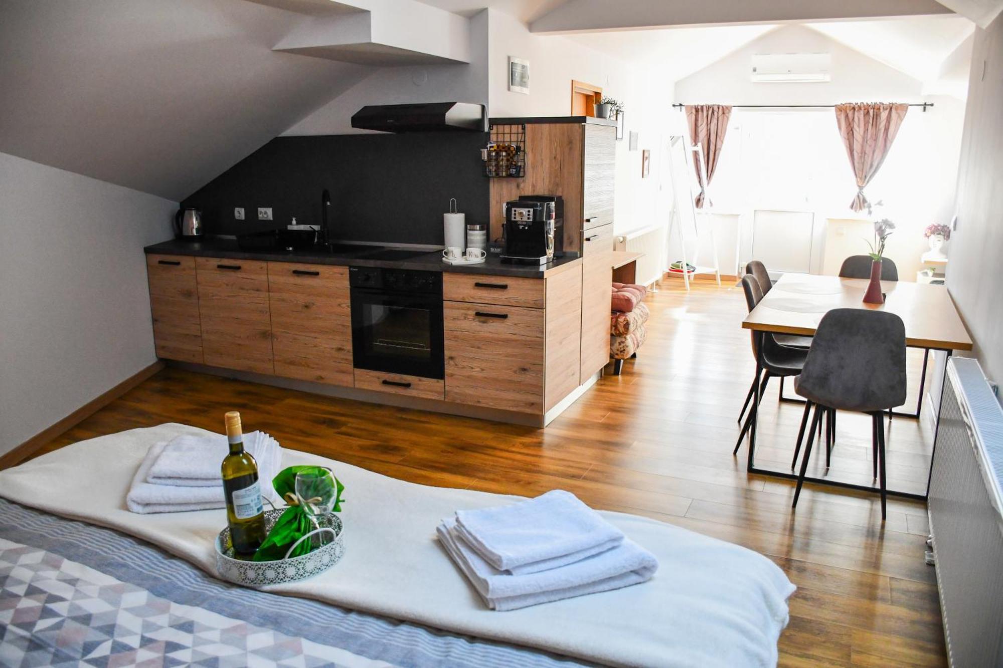 Studio Apartment Oaza 시사크 외부 사진