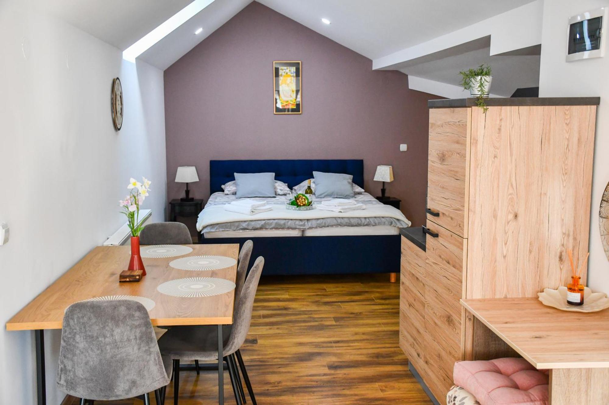 Studio Apartment Oaza 시사크 외부 사진